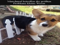 Bl�d gelaufen