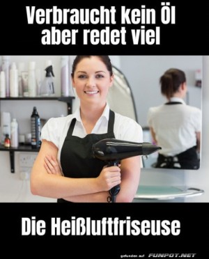 Die-Heiluftfriseuse.jpg auf www.funpot.net