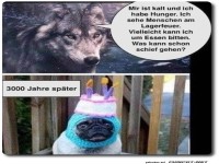 Vom Wolf zum niedlichen Hund im Pullover