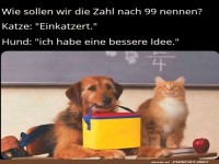 Katze und Hund im Mathematikhumor