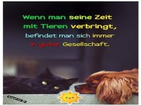 Beste Freunde: Pfote in Pfote!