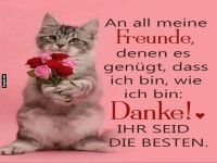 Dankbare Katze mit Blumen sagt Danke