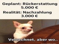Finanzamt-berraschung: Ein Hund schaut!