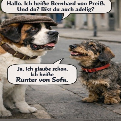 Adeliger-Hund-sucht-Adelspartner.jpg von Kurt1978