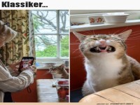 Foto-Klassiker