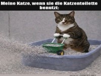 Meister des Katzenstreu-Weitwurfs!
