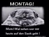 weiter