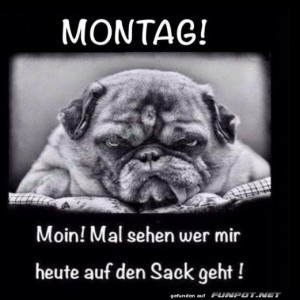 Montag.jpg von Queen40