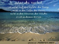 was du suchst