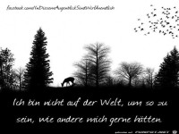 Ich bin nicht auf der Welt...