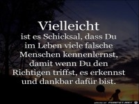 vielleicht ist es Schicksal