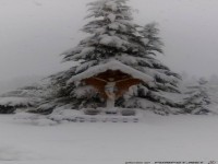 Heute- Wahnsinns Schneefall