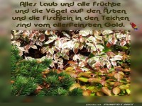 Alles Laub und alle Fruechte