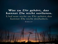 IWas zu dir geh�rt....