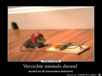 verzichte niemals darauf