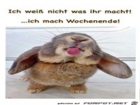 Wochenende