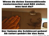 Eine Spinne