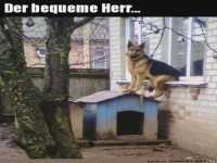 Er macht es sich gem�tlich