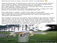 Die Pfosten-Schildkr�te