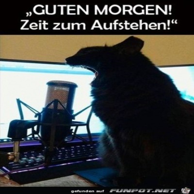 Guten-Morgen.jpg von Cedric