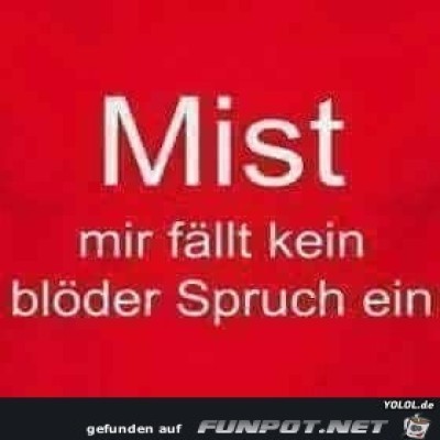 Mist.jpg von Keule56