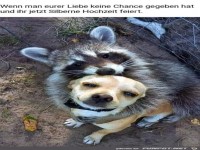 Allen Unkenrufen zum Trotz