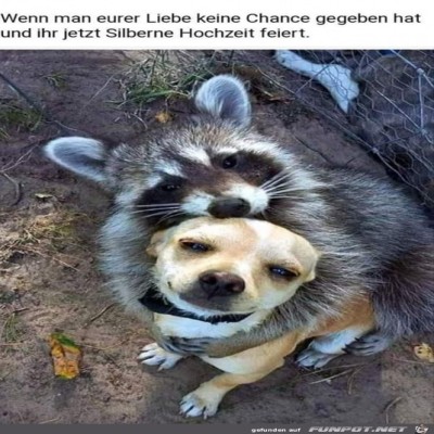 Allen-Unkenrufen-zum-Trotz.jpg von Thies