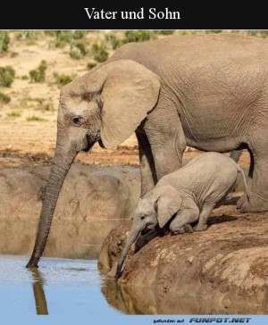 Vater-und-Sohn.jpg auf www.funpot.net