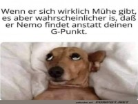 Er hat sich bem�ht