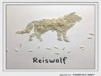 Kreative Reiskunst: Reiswolf Illustration