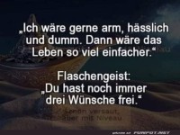 Witziger Dialog mit dem Flaschengeist