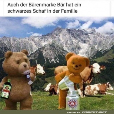 B&auml;riges-Familientreffen-mit-&Uuml;berraschungen!.jpg von Gregor