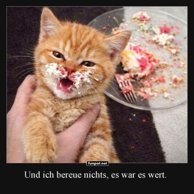 Katzenkuchen-Katastrophe.jpg von Annelie-68
