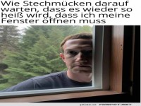 Stechm�cken-�berwachung: Fenster edition
