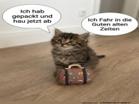 Koffer gepackt, Katze startklar!