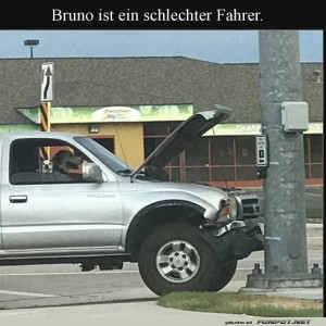 Bruno-trifft-die-Bremse-nicht!.jpg von Brenda22