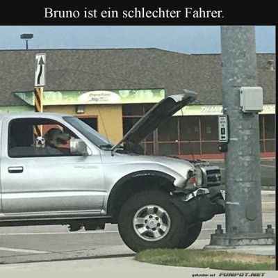 Bruno-trifft-die-Bremse-nicht!.jpg von Brenda22