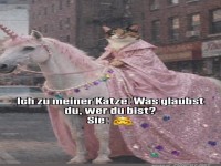 Meine Katze