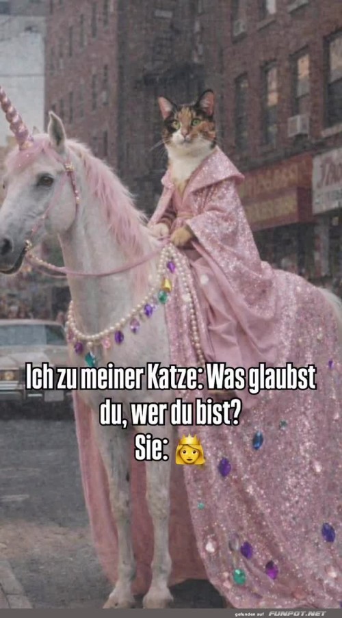 Meine-Katze.jpg auf www.funpot.net