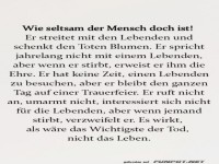 Der Mensch ist seltsam