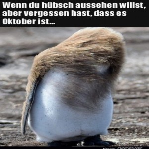 Es-windet-ein-wenig.jpg von Klemens