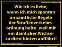 diegeilsten Strassenverkehrsordnung