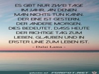 es gibt nur zwei Tage im Jahr...