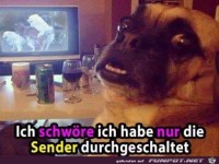 Ich schw�re