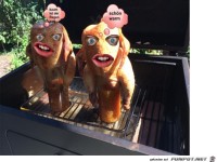 Grill Haehnchen