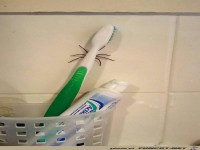 und schon keinen Bock mehr zum Zähneputzen