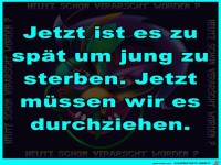 Zu sp�t