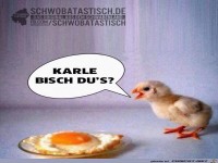 Karle bist Du es