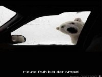 heute frueh an der Ampel