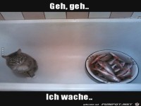 Den Bock zum G�rtner machen